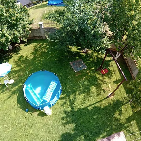Summer, Pool And Garden